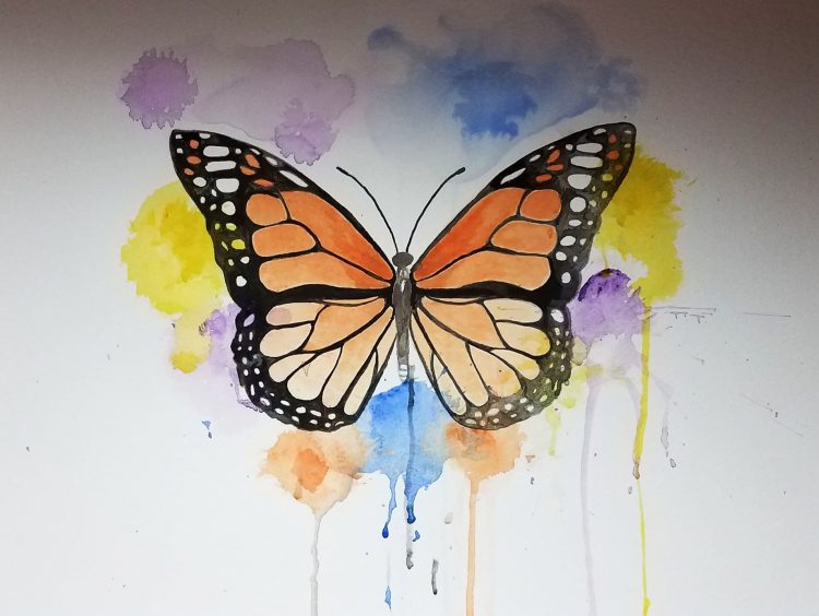 Monarch-Butterfly-by-Dan-Kraus (1)